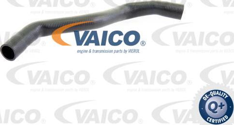 VAICO V100071 - Шланг радиатора autodnr.net