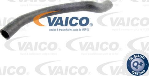 VAICO V10-0072 - Шланг радиатора autodnr.net
