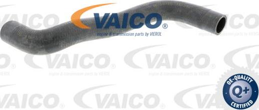 VAICO V10-0361 - Шланг радиатора autodnr.net