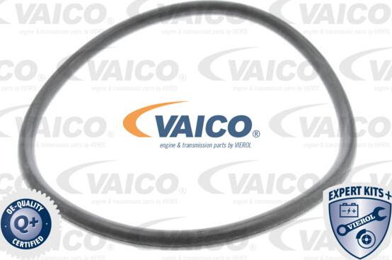 VAICO V10-0440-1 - Гидрофильтр, автоматическая коробка передач avtokuzovplus.com.ua