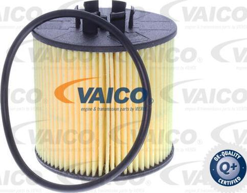 VAICO V10-0665 - Масляный фильтр avtokuzovplus.com.ua