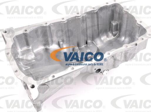 VAICO V10-0878 - Масляний піддон autocars.com.ua