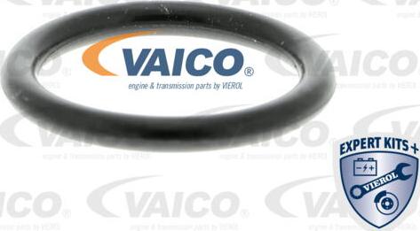 VAICO V10-0982 - Клапан, відведення повітря з картера autocars.com.ua