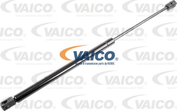 VAICO V10-1036 - Газовая пружина, упор avtokuzovplus.com.ua