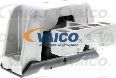 VAICO V10-1299 - Подушка, підвіска двигуна autocars.com.ua