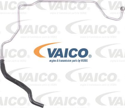 VAICO V10-1748 - Гидравлический шланг, рулевое управление avtokuzovplus.com.ua