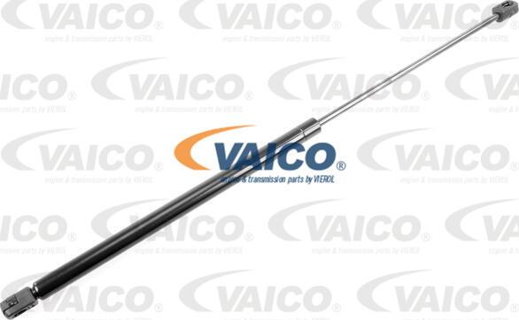 VAICO V10-1927 - Газовая пружина, упор avtokuzovplus.com.ua