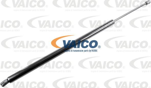 VAICO V10-1991 - Газовая пружина, упор avtokuzovplus.com.ua