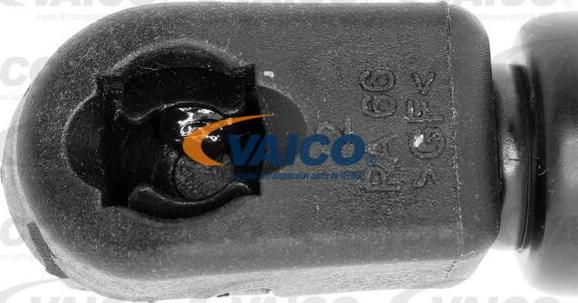VAICO V10-2070 - Газовая пружина, упор avtokuzovplus.com.ua