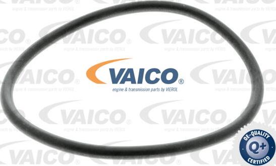 VAICO V10-2287-1 - Гидрофильтр, автоматическая коробка передач avtokuzovplus.com.ua