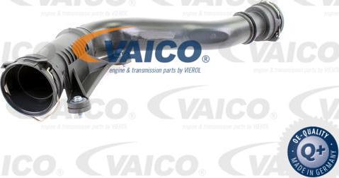 VAICO V10-2506 - Впускная труба, підведення повітря autocars.com.ua