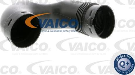 VAICO V10-2512 - Впускная труба, подвод воздуха avtokuzovplus.com.ua
