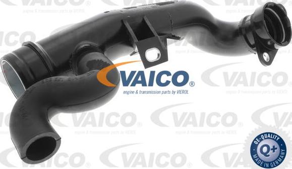 VAICO V10-2529 - Шланг, система подачі повітря autocars.com.ua