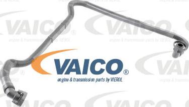 VAICO V10-2679 - Шланг, вентиляция картера avtokuzovplus.com.ua
