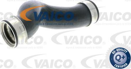 VAICO V10-2696 - Трубка нагнітається повітря autocars.com.ua