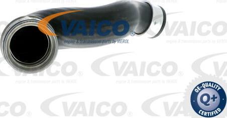 VAICO V10-2697 - Трубка нагнітається повітря autocars.com.ua