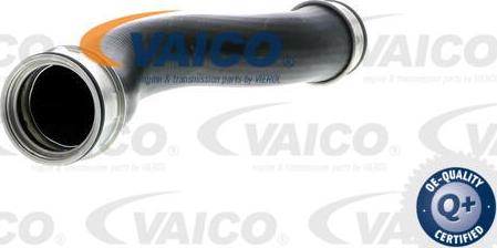 VAICO V10-2698 - Трубка нагнітається повітря autocars.com.ua