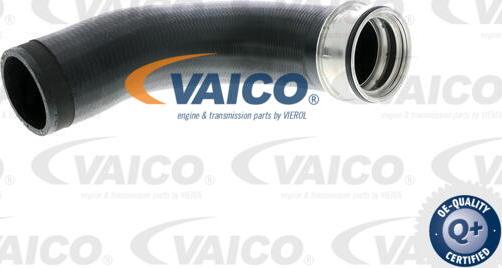 VAICO V10-2699 - Трубка, нагнетание воздуха avtokuzovplus.com.ua