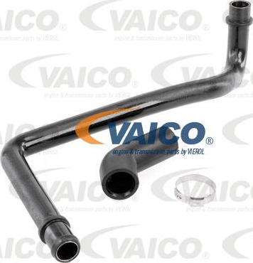 VAICO V10-2777 - Шланг, воздухоотвод кришки головки циліндра autocars.com.ua