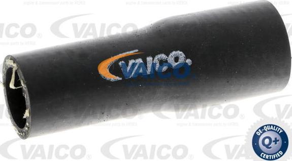 VAICO V10-2805 - Шланг радіатора autocars.com.ua