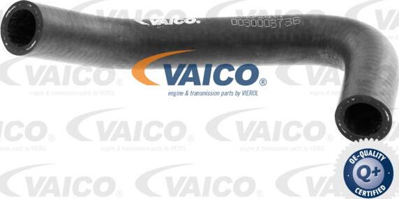 VAICO V10-2814 - Шланг радіатора autocars.com.ua