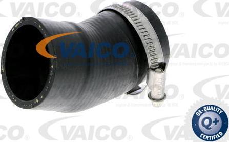 VAICO V10-2828 - Трубка, нагнетание воздуха autodnr.net