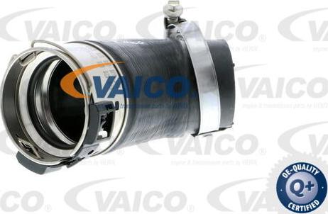VAICO V102832 - Трубка, нагнетание воздуха autodnr.net