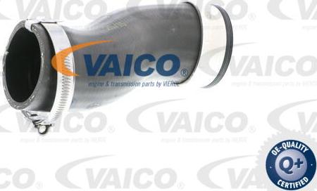 VAICO V10-2836 - Трубка, нагнетание воздуха autodnr.net
