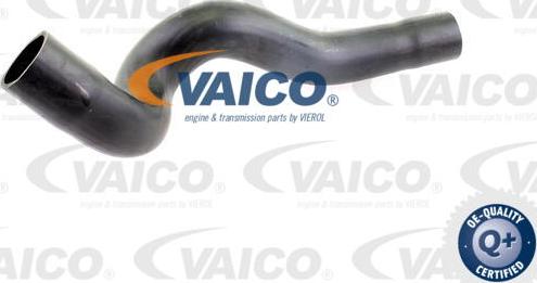 VAICO V10-2840 - Трубка нагнітається повітря autocars.com.ua