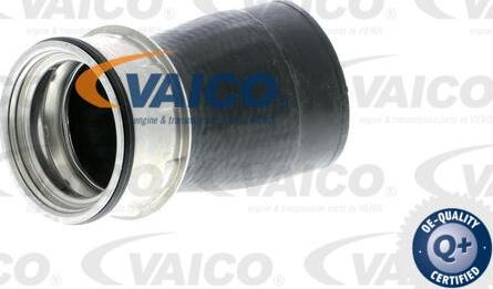 VAICO V10-2848 - Трубка нагнітається повітря autocars.com.ua