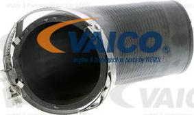 VAICO V10-2855 - Трубка, нагнетание воздуха autodnr.net