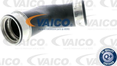 VAICO V10-2856 - Трубка, нагнетание воздуха avtokuzovplus.com.ua