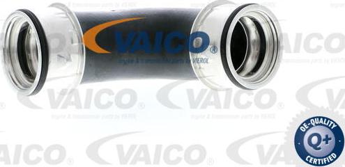 VAICO V10-2862 - Трубка нагнітається повітря autocars.com.ua
