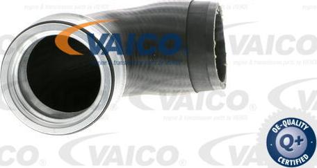 VAICO V10-5307 - Трубка нагнітається повітря autocars.com.ua