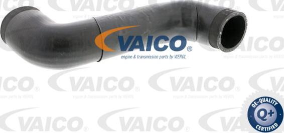 VAICO V10-2883 - Трубка нагнітається повітря autocars.com.ua