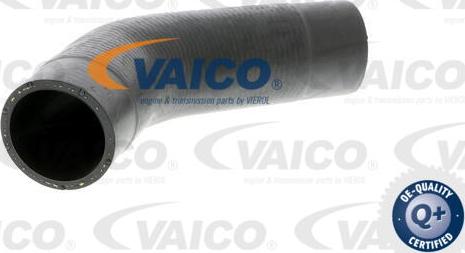 VAICO V10-2888 - Трубка, нагнетание воздуха avtokuzovplus.com.ua