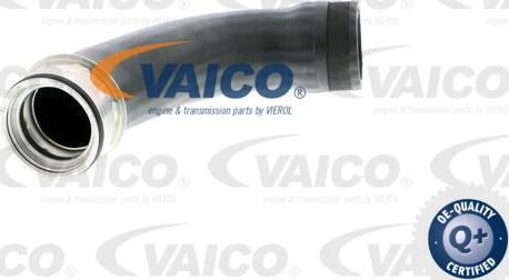 VAICO V10-2889 - Трубка, нагнетание воздуха avtokuzovplus.com.ua