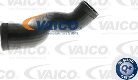 VAICO V10-2893 - Трубка, нагнетание воздуха autodnr.net