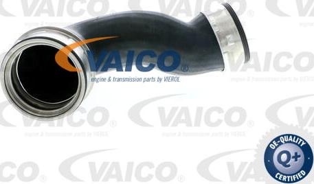 VAICO V10-2901 - Трубка, нагнетание воздуха autodnr.net