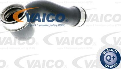 VAICO V10-2902 - Трубка нагнітається повітря autocars.com.ua