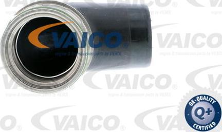 VAICO V10-2908 - Трубка, нагнетание воздуха autodnr.net
