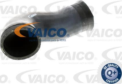 VAICO V10-2924 - Трубка нагнітається повітря autocars.com.ua