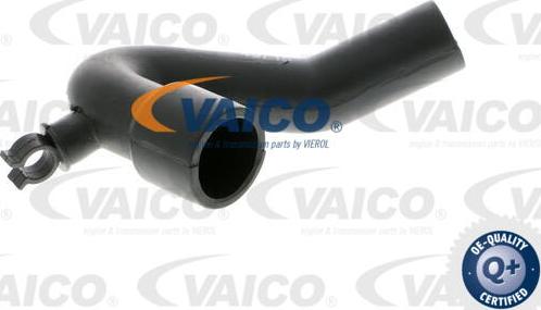 VAICO V10-2944 - Шланг, вентиляція картера autocars.com.ua