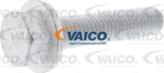 VAICO V10-50107 - Водяний насос + комплект зубчатого ременя autocars.com.ua