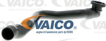 VAICO V10-3099 - Шланг, вентиляція картера autocars.com.ua
