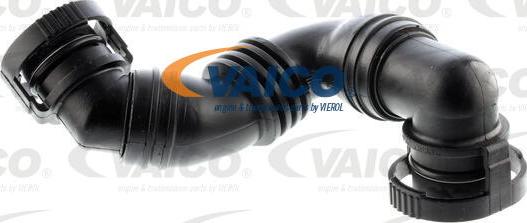 VAICO V10-3100 - Шланг, вентиляція картера autocars.com.ua