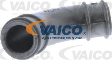 VAICO V10-3113 - Шланг, вентиляция картера avtokuzovplus.com.ua