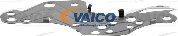 VAICO V10-3166 - Натяжитель цепи ГРМ avtokuzovplus.com.ua