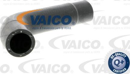 VAICO V10-3202 - Шланг радіатора autocars.com.ua