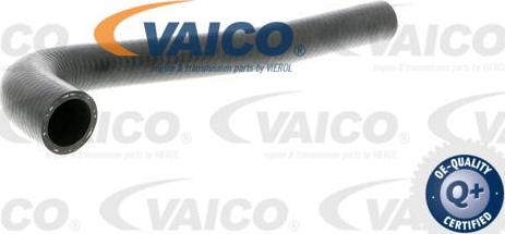 VAICO V10-3203 - Шланг радіатора autocars.com.ua